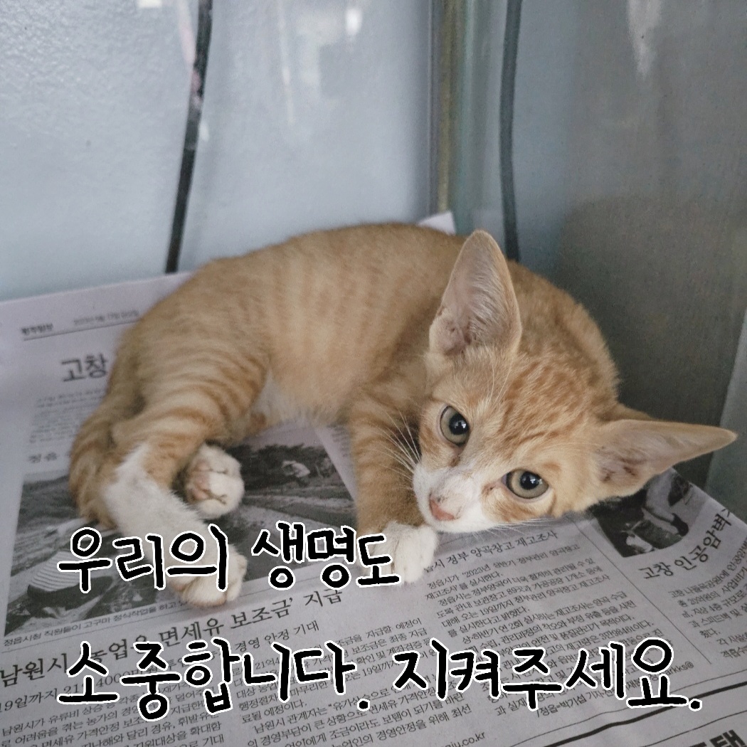 장성군동물보호센터_446498202300304